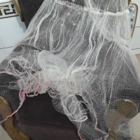 تور پرخی