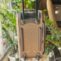 چمدان|کیف، کفش، کمربند|بابل, |دیوار