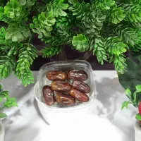 خرمای رژیمی تک نفره|خدمات پذیرایی، مراسم|رامشیر, |دیوار