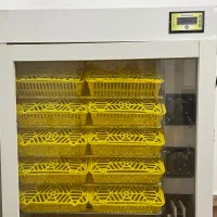 فروش دستگاه جوجهکشی ۴۰۰ تایی