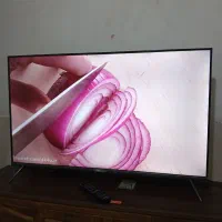 تلویزیون ال ای دی ۴۳ اینچ هوریون فول اچ دی درحد نو|تلویزیون و پروژکتور|مشهد, شهید معقول|دیوار