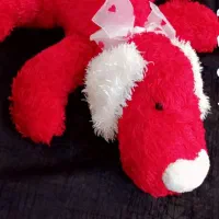 سگ قرمز با گوشهای سفید آویزون نو میباشد|اسباببازی|فردیس, قریشی|دیوار