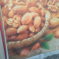 خریداربادام مامایی سنگی ربیع شاهرودی و...