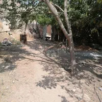 باغچه مفروز شش دانگ در محمودیه چمران|فروش زمین و ملک کلنگی|شیراز, محمودیه|دیوار