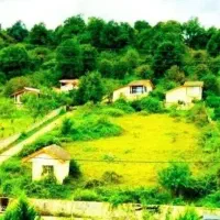 زمین-خوشقواره-چسبیده-به-جنگل-ش-مال