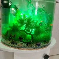 فروش آکواریوم شیشه خم.