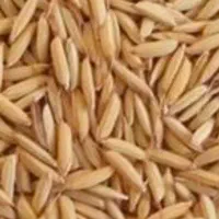 جو به مقدار ۳۵۰۰ کیلو