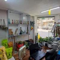 ویترین و میز و پیشخوان|فروشگاه و مغازه|رشت, صفاری|دیوار