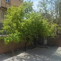 نظافتی|استخدام سرایداری و نظافت|الشتر, |دیوار