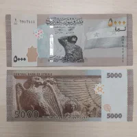 لیر سوریه کلکسیونی