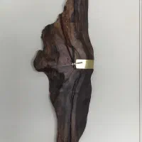 پروفیکس رگال