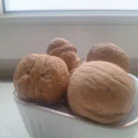 گردو چرب پوست کاغذی