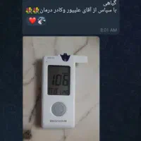 قند بالا تمام شد گیاهی|خوردنی و آشامیدنی|ایرانشهر, |دیوار