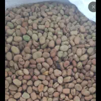 باقالی