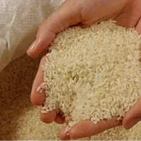 فروش برنج گیلان تضمینی معطر شفت