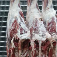 سوپر گوشت البرز