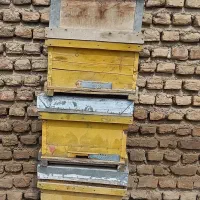 دمپایی طبی مردانه وکفش بچگانه کارتنی.کندوزنبور
