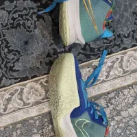 عقث|کیف، کفش، کمربند|تایباد, |دیوار