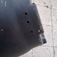 متخصص گل گیاه آپارتمانی زینتی|خدمات باغبانی و درختکاری|قم, نیروگاه|دیوار