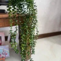 فروش یک واحد آپارتمان مسکن مهر سایت ۶۰ هکتاری