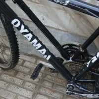 دوعدوچرخه فروشی