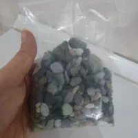 صدف