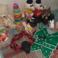 اسباب بازی ولباس دوقلوها