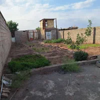 12-قصب-زمین-خالی-جاده-تهران-سعادت-آباد