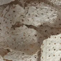 فروش نان خشکه ضایعاتی تمیز بدون کپک