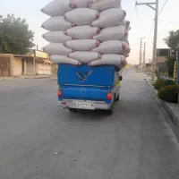 فروش کاه گندم دیم