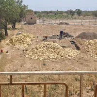 500 متر زمین باغی مدارک کامل فقط 120 ملیون|فروش دفتر صنعتی، کشاورزی، تجاری|کرج, حاجی آباد|دیوار