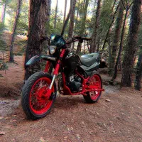 تریل کاستوم 250