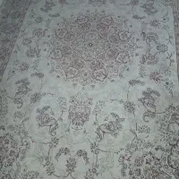 قالیباف ۵۰۰شانه سه تایک مدل دوتا۹متری ویک شش متری