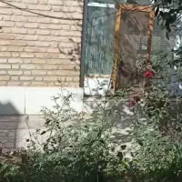 فروش ۲۵۰ متری خانه حیاط دار با صفا|فروش خانه و ویلا|اردستان, |دیوار