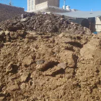 کود گاوی|لوازم جانبی حیوانات|درودزن, |دیوار