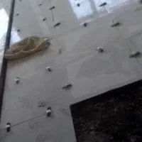 کار گر گرفتم دیگر زنگ نزنین ممنون از درک بالا شمل