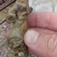 سنگ شکلک دار|بدلیجات|رشت, کوی جام جم|دیوار