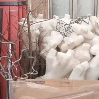 مانکن ولوازم لباس فروشی