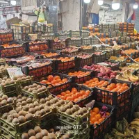 کارگر ماهر میوه فروشی بارچین وبار فروش