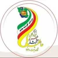 استخدام نیروی مددکار فرهنگی، نیروی مشارکت تلفنی