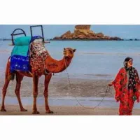 تور ریلی قشم آذرماه// تور هوایی قشم