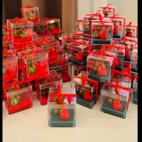 گیفت یلدایی مدارس