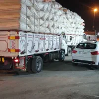 کاه گندم مخر.م|لوازم جانبی حیوانات|خنداب, |دیوار