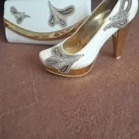 کیف کفش مجلسی سایز 37