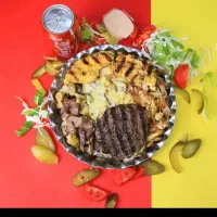 آشپز حرفه ای