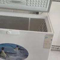 وسایل مرغ فروشی|فروشگاه و مغازه|بندر ترکمن, |دیوار