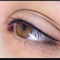 میکرو ابرو، خط چشم، شید لب