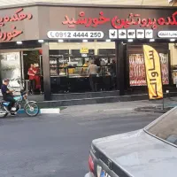 فروشنده پروتئینی مرغ خانم