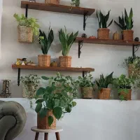 شلف چوب طبیعی خاص و شیک  پایه فلزی
