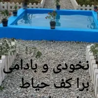 متن عکسو خوب نگاه